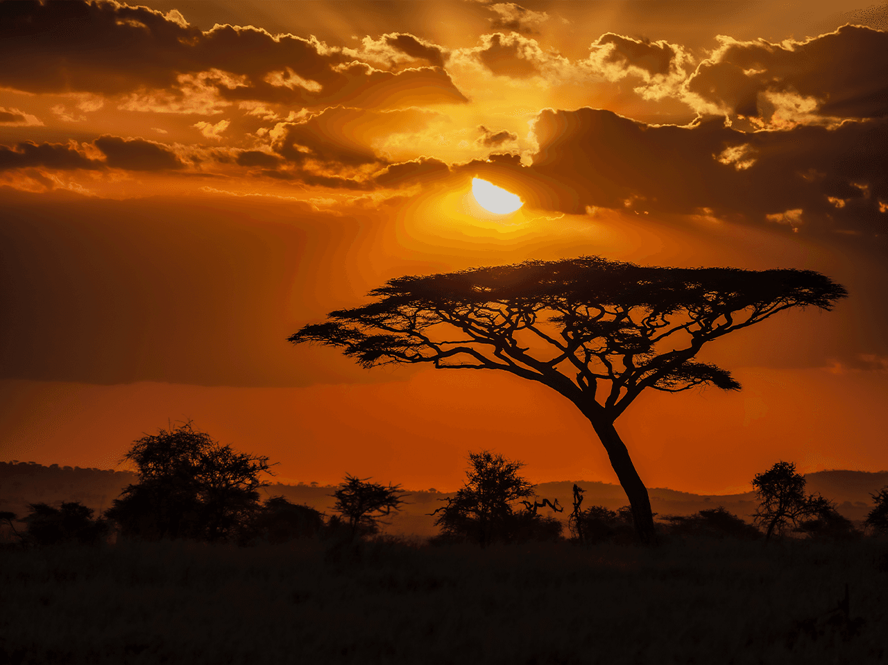 Cinematic wide shot of the Kenyan Rift Valley at sunset